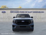 New 2025 Ford Expedition Active image 6