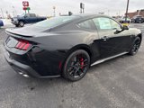 New 2025 Ford Mustang GT Premium w/ Mustang Nite Pony Package image 5