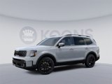 New 2025 Kia Telluride SX Prestige X-Line image 4