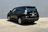 Used 2019 Lexus GX 460 image 5