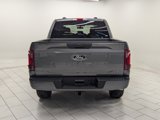 New 2025 Ford F150 STX w/ STX Black Appearance Package image 6