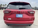 Used 2024 Ford Escape ST-Line image 6