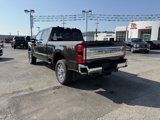 New 2025 Ford F350 4x4 Crew Cab Super Duty image 5