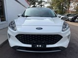 Used 2022 Ford Escape SEL image 6