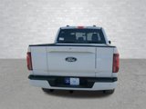 New 2025 Ford F150 Platinum w/ Equipment Group 703A Plus image 3