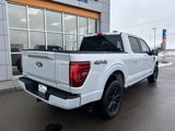 New 2025 Ford F150 Platinum w/ Equipment Group 702A High image 3