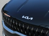New 2026 Kia Carnival EX image 3