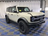 New 2025 Ford Bronco Badlands image 4