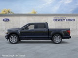 New 2025 Ford F150 Platinum image 3