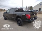 New 2025 Ford F150 Platinum w/ Equipment Group 702A High image 3
