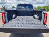 New 2025 Ford F250 Platinum image 4
