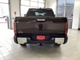 New 2025 Toyota Tundra 1794 Edition image 4