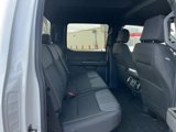 New 2025 Ford F150 STX w/ Equipment Group 200A image 4