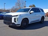 New 2025 Hyundai Palisade Calligraphy image 2