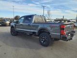 New 2025 Ford F250 XL image 5