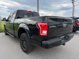 Used 2017 Ford F150 XLT w/ Equipment Group 302A Luxury image 3