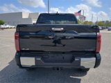 New 2025 Toyota Tundra 1794 Edition image 5