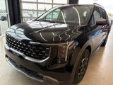 New 2025 Kia Carnival SX Prestige image 6