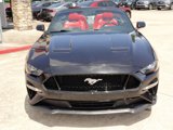 Used 2019 Ford Mustang Premium w/ Equipment Group 201A image 3