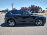 Used 2023 MAZDA CX-5 Signature image 6