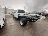 New 2024 Ford F450 XL w/ Snow Plow Prep Package image 3