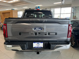 New 2025 Ford F150 XLT w/ Equipment Group 302A MID image 6