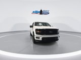 New 2025 Ford F150 XLT w/ Equipment Group 303A High image 4