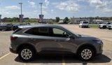 Used 2024 Ford Escape Active image 3