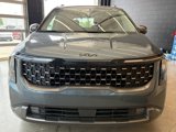 New 2025 Kia Carnival SX Prestige image 4