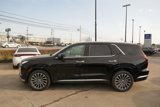 New 2025 Hyundai Palisade Calligraphy image 2