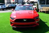 Used 2020 Ford Mustang GT Premium w/ Equipment Group 401A image 2