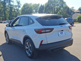 Used 2025 Ford Escape ST-Line w/ Tech Pack #1 image 4