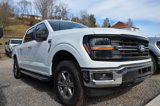 New 2025 Ford F150 XLT w/ Equipment Group 301A Standard image 3