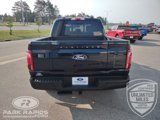 New 2025 Ford F150 Platinum image 4
