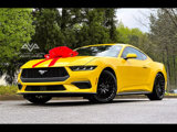 Used 2024 Ford Mustang Coupe image 2