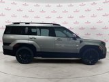 New 2025 Hyundai Santa Fe Calligraphy image 2