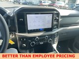 New 2025 Ford F150 XLT image 2