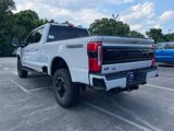 New 2025 Ford F250 Platinum image 5