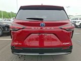 New 2025 Toyota Sienna Platinum image 5