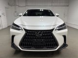 Used 2024 Lexus NX 350 AWD w/ Cold Area Package image 2