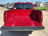 New 2025 Ford F150 XLT image 6