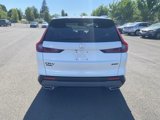 New 2026 Honda CR-V Sport image 4