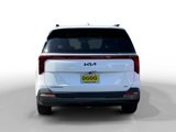 New 2025 Kia Carnival SX Prestige image 4
