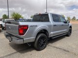 New 2025 Ford F150 STX w/ STX Black Appearance Package image 5