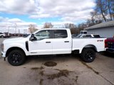 New 2024 Ford F350 XL w/ STX Appearance Package image 2