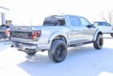 Used 2025 Ford F150 Raptor w/ Equipment Group 803A Raptor R image 6