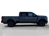New 2025 Ford F250 Platinum image 6