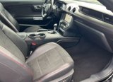 Used 2019 Ford Mustang GT Premium w/ Equipment Group 401A image 6