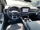 New 2025 Ford F150 XLT image 6