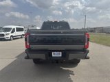 New 2025 Ford F250 Platinum image 4